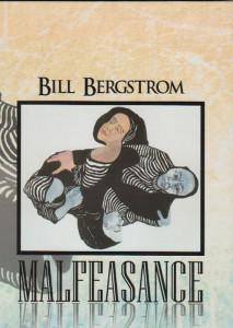A Novel by Bill Bergstrom